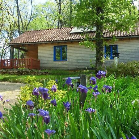Le Village Enchanteur La Chapelle-Aubareil Exteriör bild