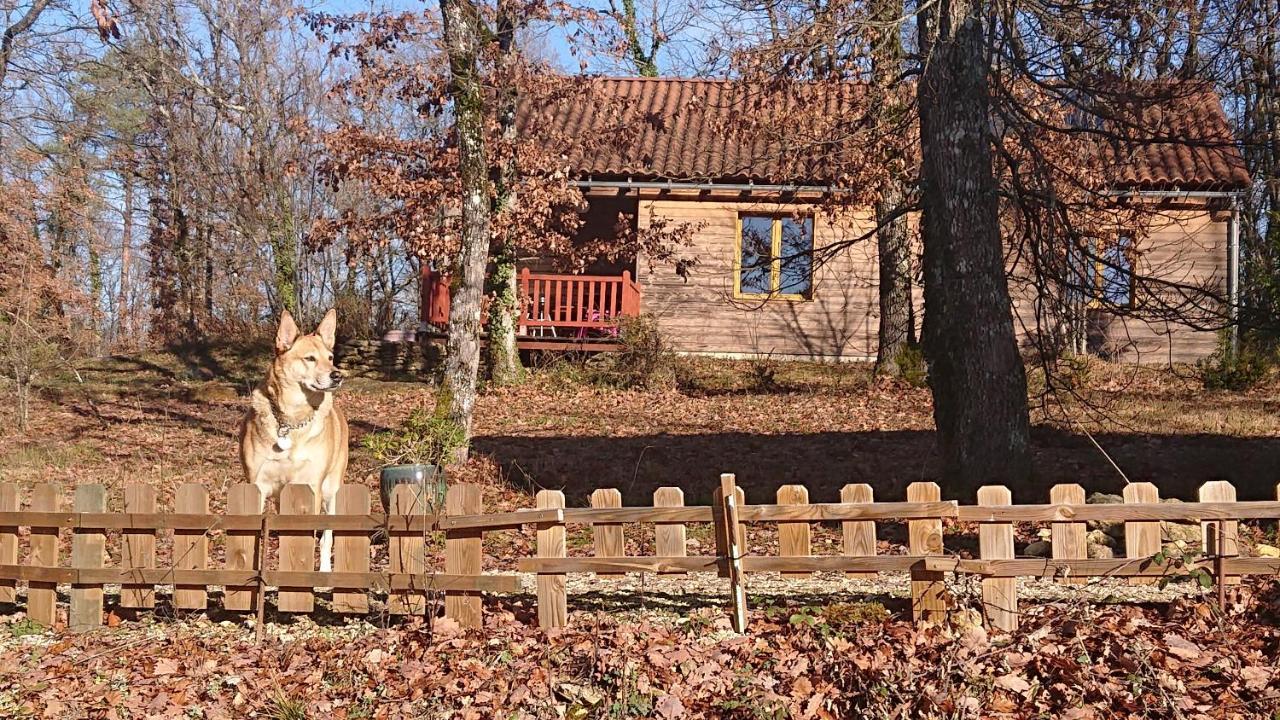 Le Village Enchanteur La Chapelle-Aubareil Exteriör bild